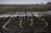 relates to Unrelenting Rain Puts U.S. Farmers on Insurance-Deadline Watch