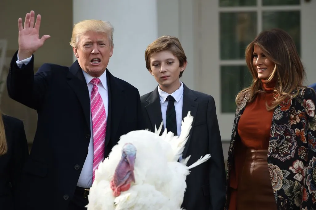For sure he can pardon Thanksgiving turkeys.