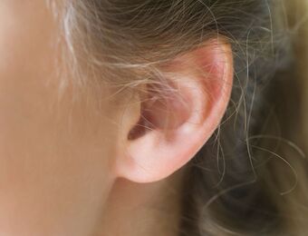 relates to Drugmakers Try Gels, Gene Therapy to Help Reverse Hearing Loss