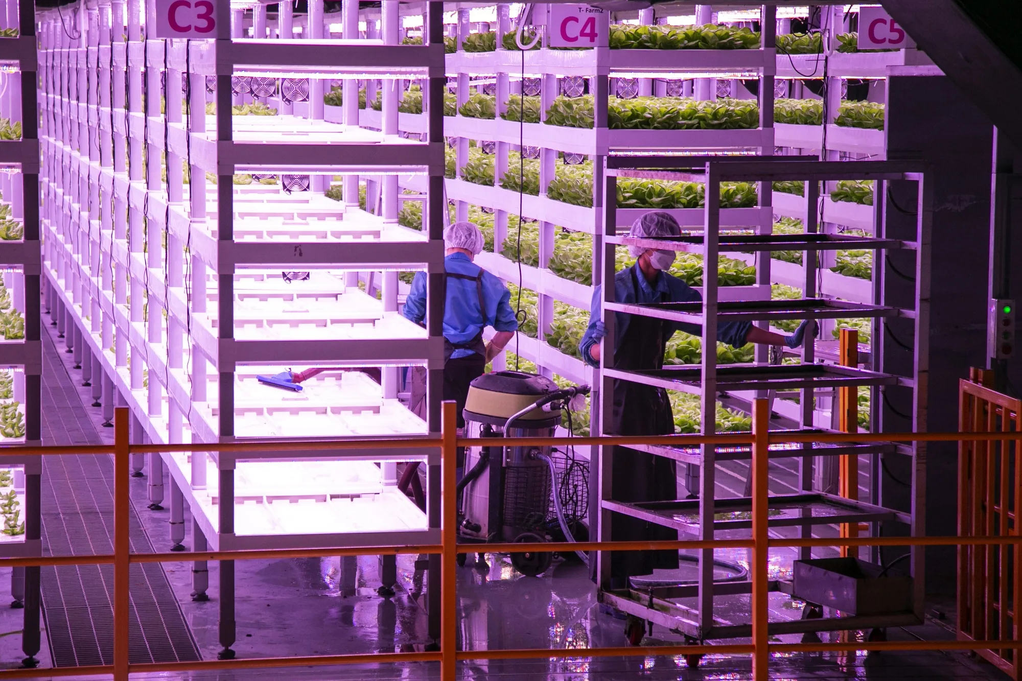 Employees work inside an indoor vertical farm in Pyeongtaek, South Korea, on Feb. 23, 2021.