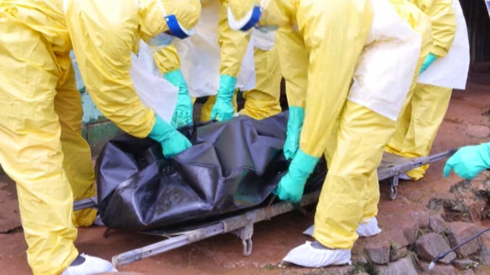 ebola the end of humanity 6 viruses that could wipe out humanity - health these deadly viruses could mark the end of all mankind 1) the ebola virus is a. ebola the end of humanity 6 viruses that could wipe out humanity - health these deadly viruses could mark the end of all mankind 1) the ebola virus is a.