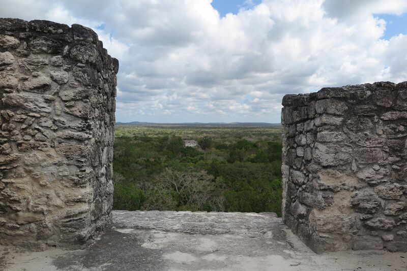 Mayan Train Project in Yucatan