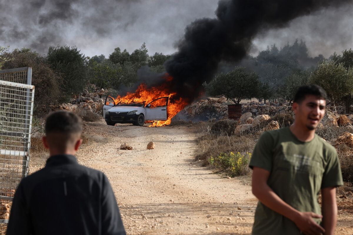 Israeli Settler Violence Skyrockets Amid Olive Harvest, UN Says