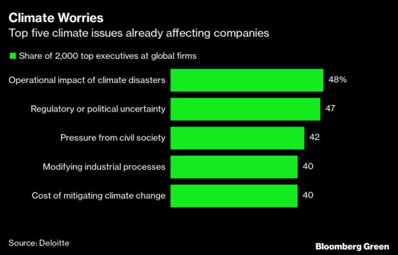 Despite Growing Climate Fears, Global Firms Struggle With Solutions