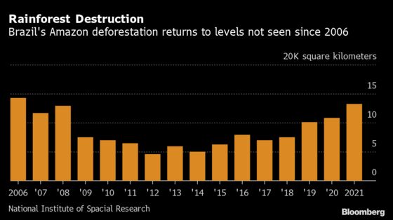 Amazon Rainforest Is Being Destroyed at Fastest Pace in 15 Years