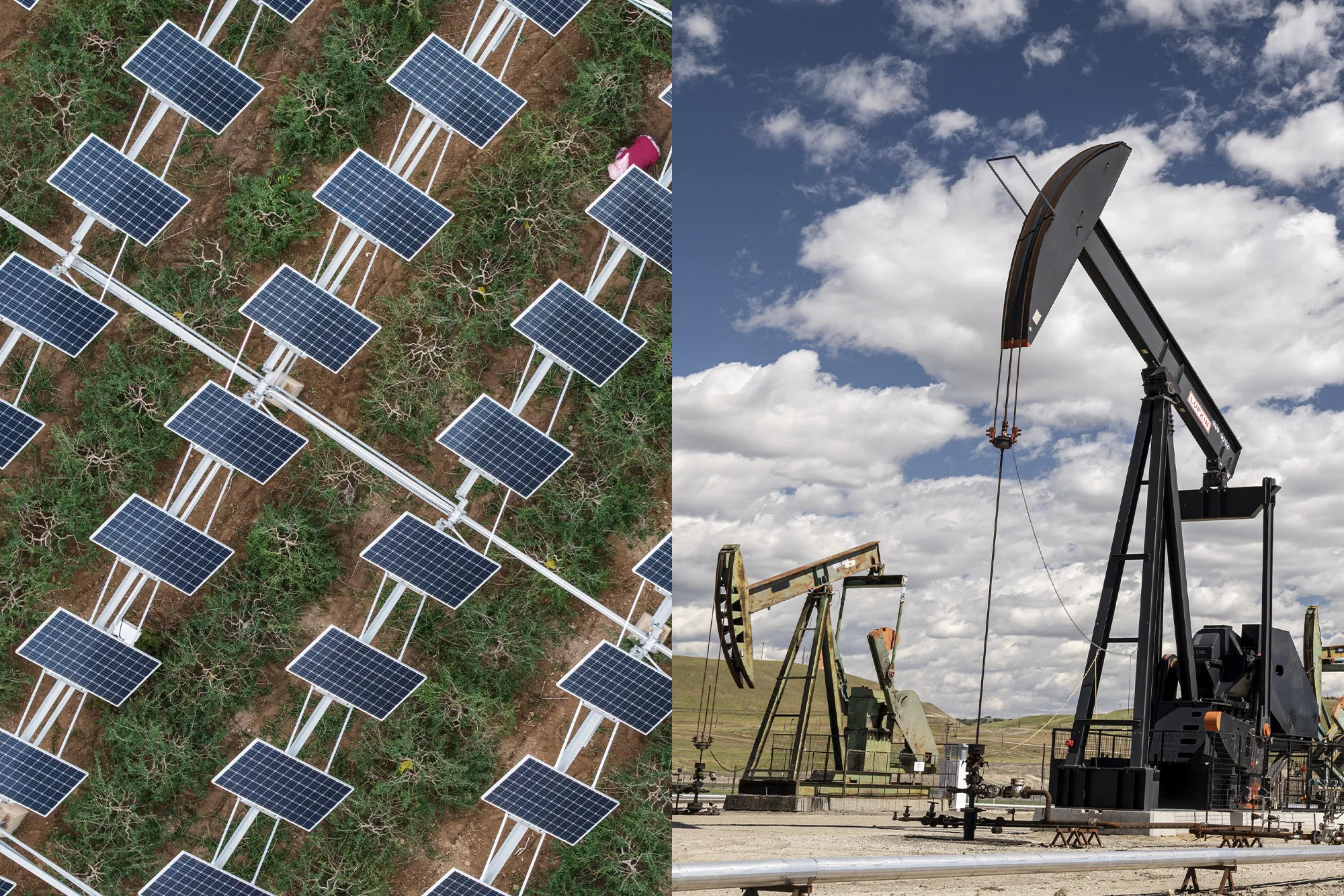 Workers prune goji berry bushes under solar panels near Yinchuan, China.&nbsp;Oil well pump jacks in San Ardo, California.