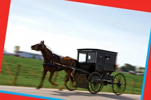 What Happens When the Amish Get Rich