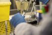 Coronavirus Analysis In Hospital Laboratory 