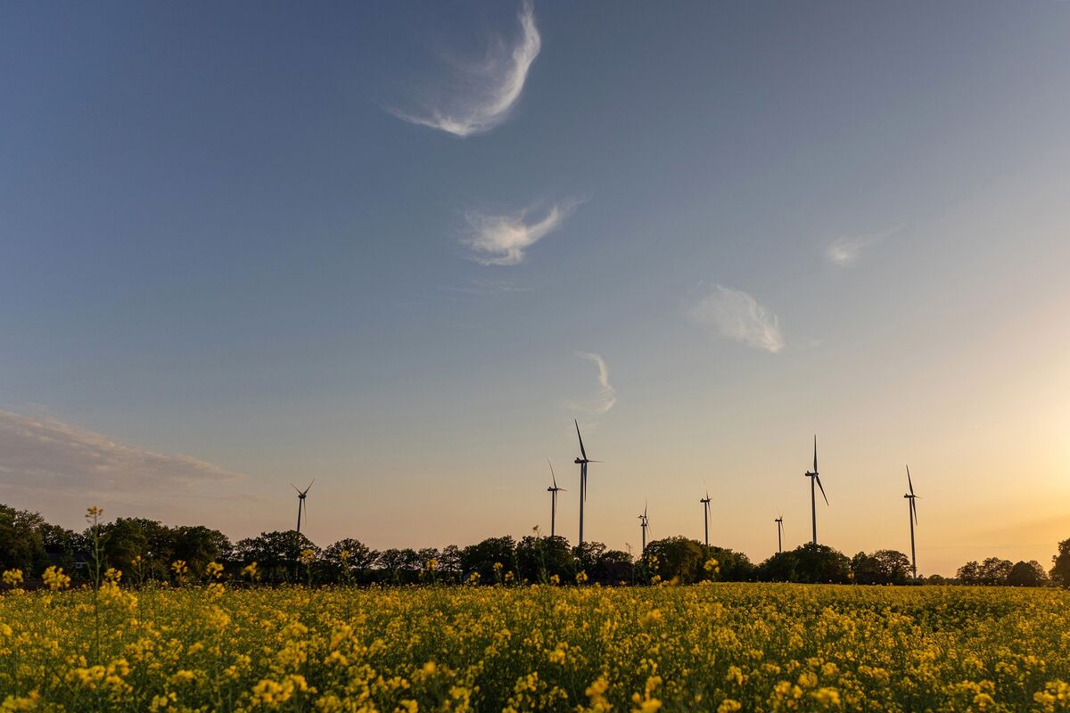 bloomberg.com - Ewa Krukowska - EU Designs €30 Billion Carbon Market Tool to Avoid Permit Deluge
