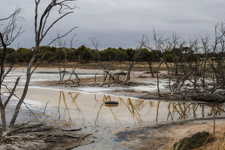 The Water Trade Is Booming — and Sucking Australia Dry