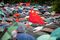 Protesters Attend Safeguard Hong Kong Rally