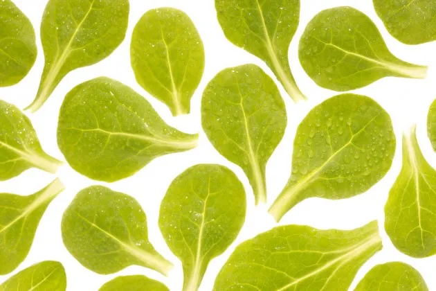 What Comes After Millennials? Generation Salad