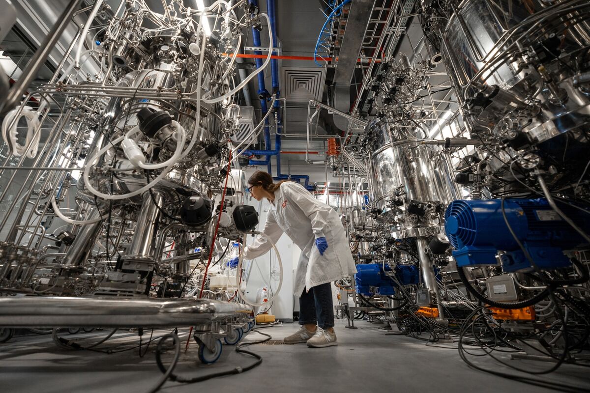 Nestle Eyes LabGrown Meat Market to Tap Future Growth Bloomberg