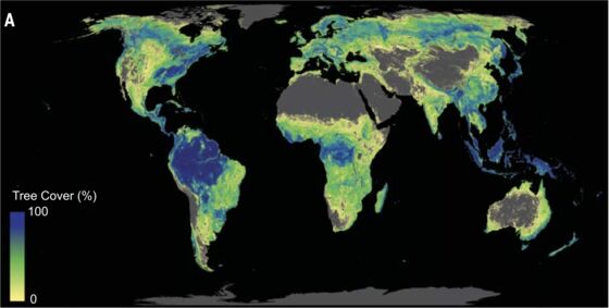 This Easy Climate Fix Has More Potential Than Previously Thought