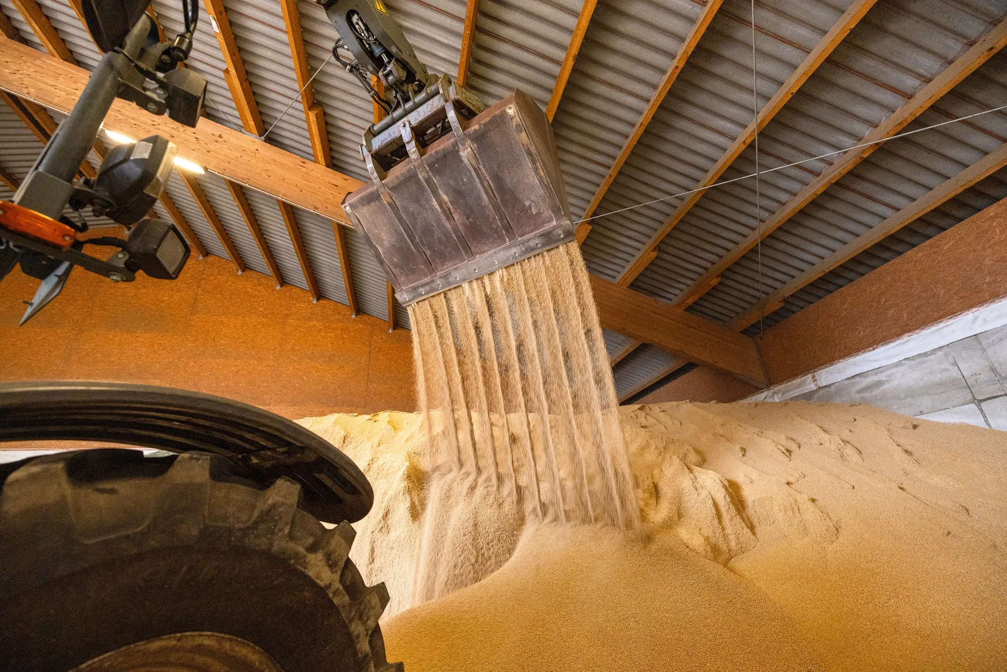 A front loader moves loose calcium ammonium nitrate fertilizer at an agricultural cooperative warehouse.