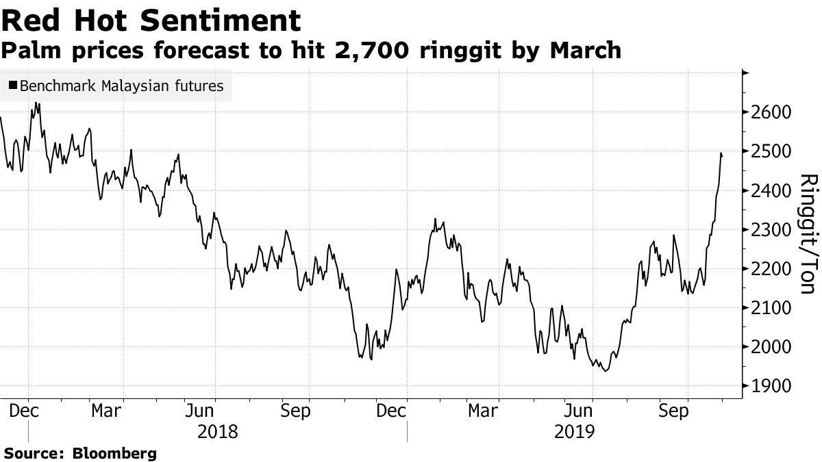 Active mid, smallcap funds lag behind benchmarks amid red-hot rally