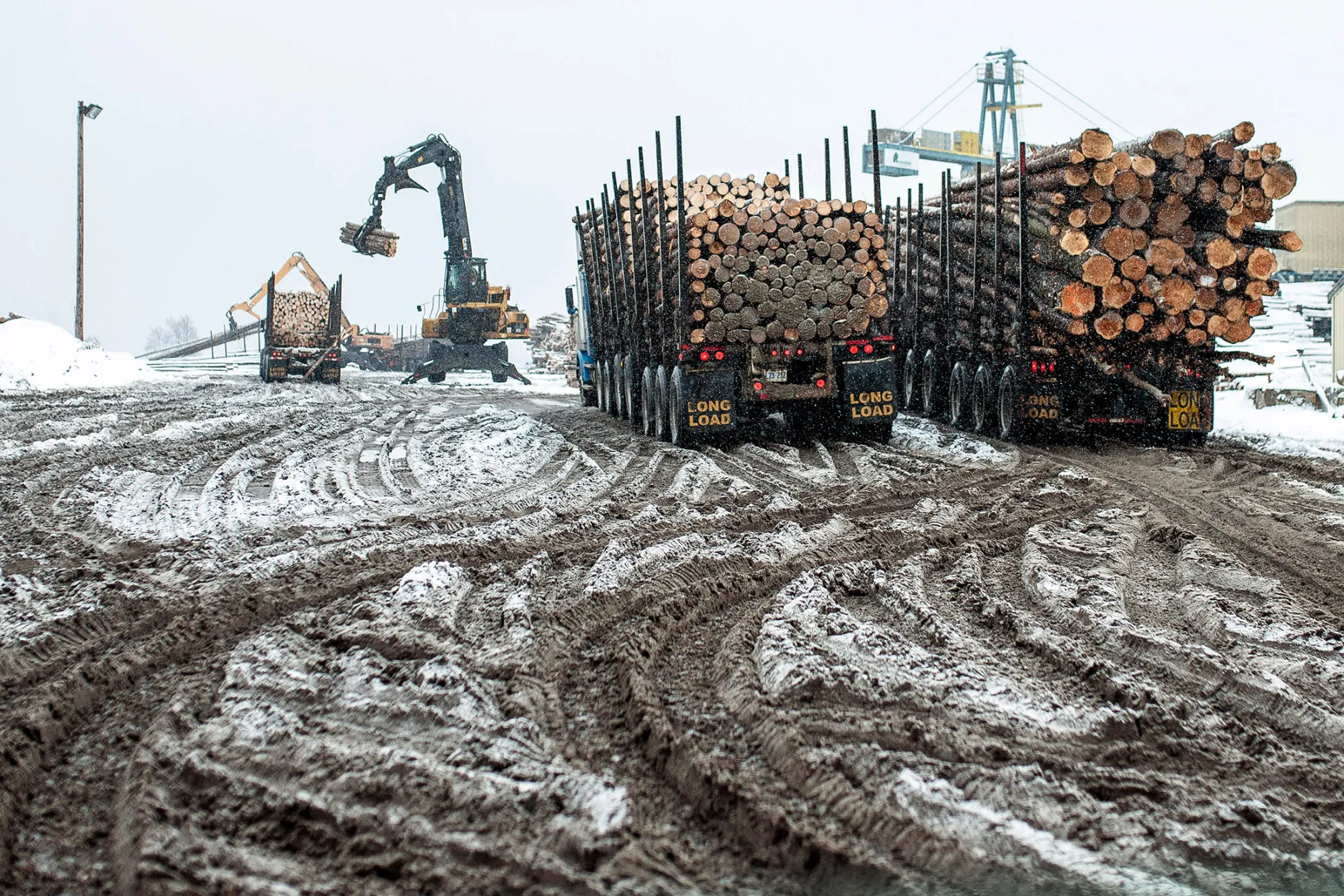 Trucks deliver raw lumber at a mill in Thunder Bay, Ontario, Canada.
