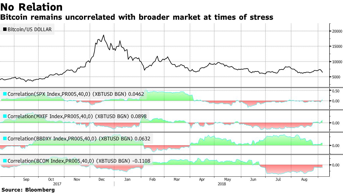 Bitcoin Price Crash: Nowhere to Hide In Cryptocurrency Slump - Bloomberg
