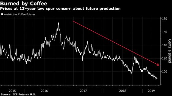 Roaster of $803-a-Pound Coffee Sees Supply Risk Amid Rout