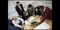 5. London Business School
