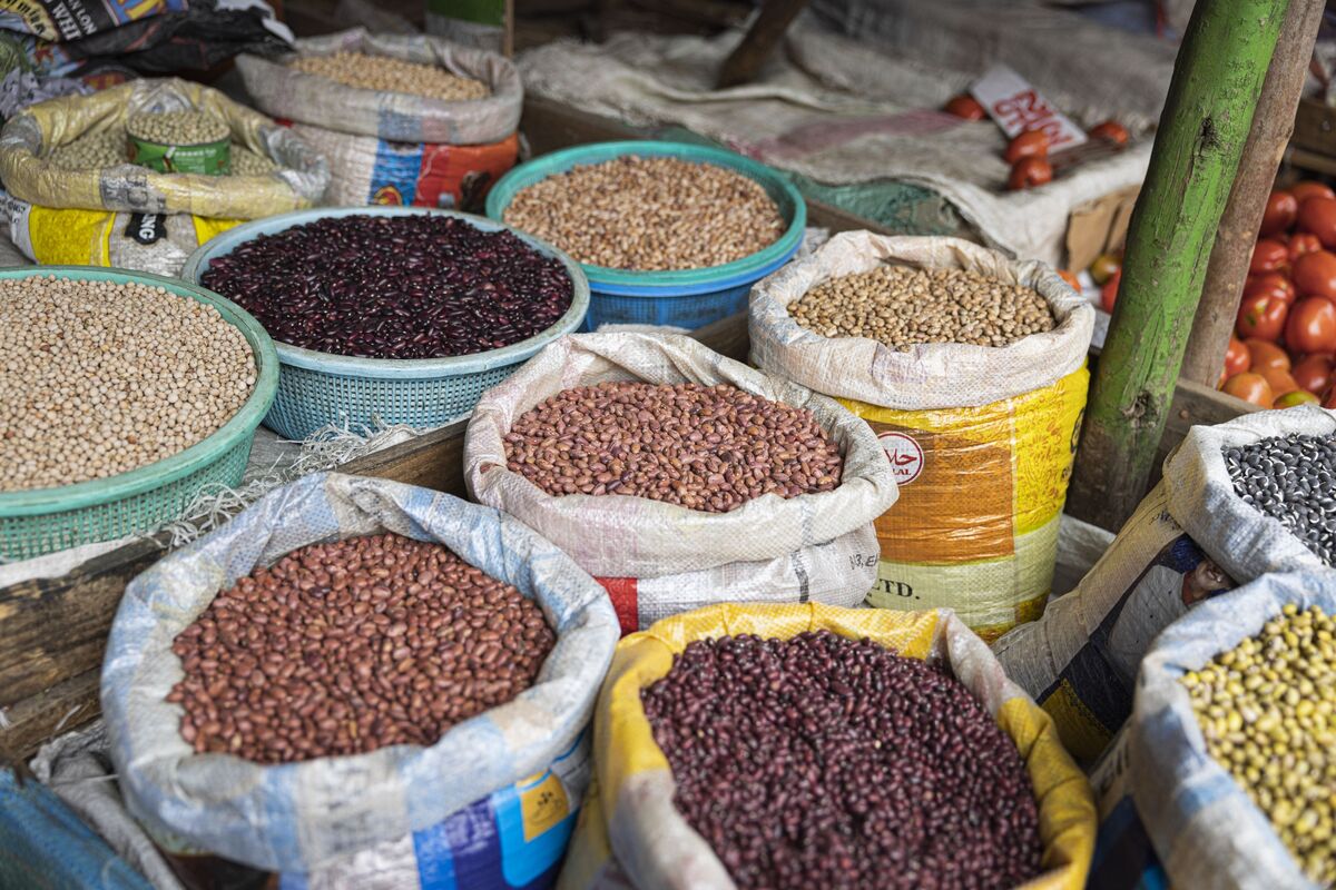 ⚫️ BLOOMBERG: Il Kenya emetterà un'obbligazione di debito per cibo da 1 miliardo di dollari con il Programma Alimentare Mondiale entro marzo