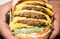 In-n-Out's "Not-So-Secret Menu"