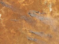 Ειδική έκθεση για τις αγορές