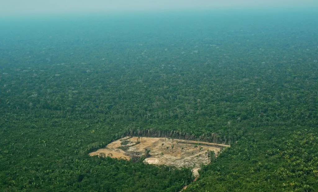 Deforestation was a growing problem even before the fires.