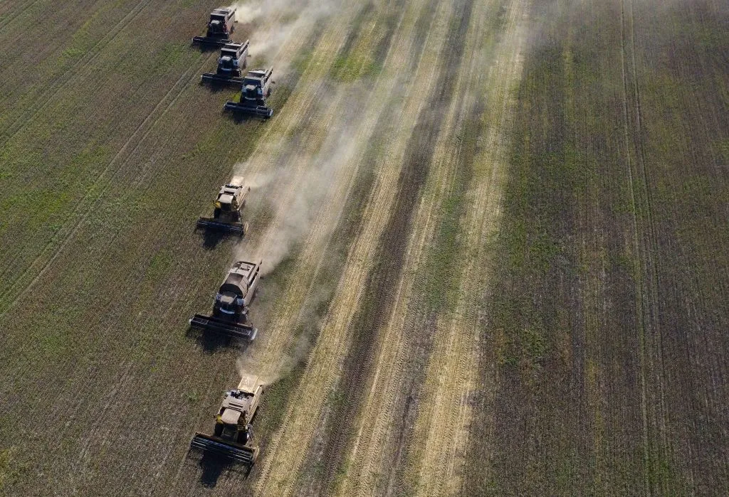 Wheat harvest in the Siberian Novosibirsk region.