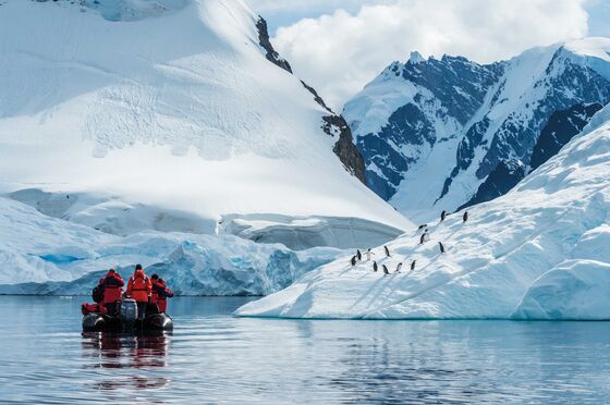 Travel Industry Sees Glimmers of Recovery in Africa, Antarctica