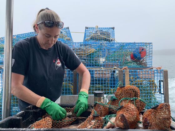 Coronavirus in Maine: Lobster Industry Hit Hard Despite Few Cases