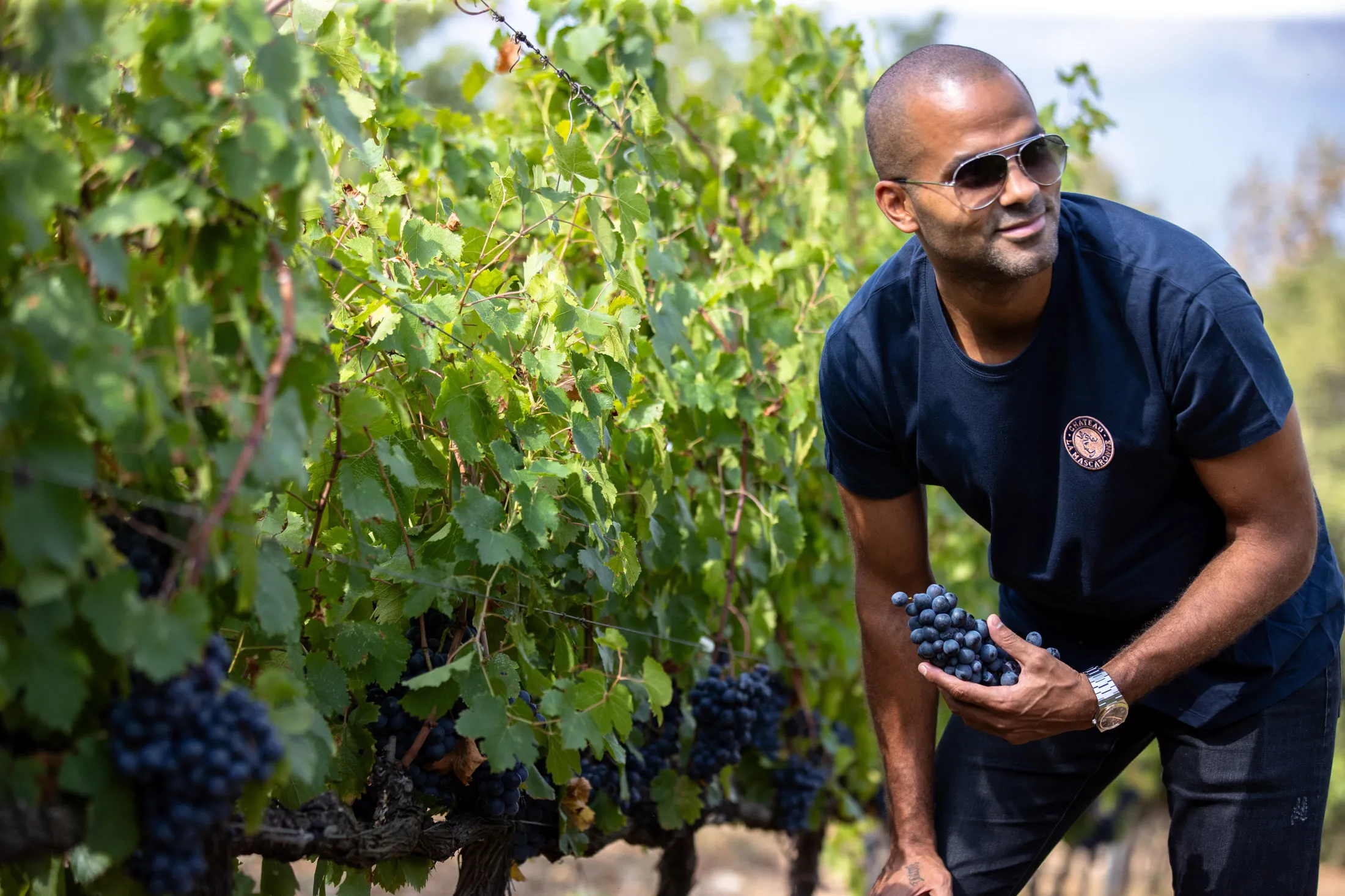 Basketball Hall of Famer Tony Parker picks grapes in the vineyard of Château La Mascaronne in Provence.