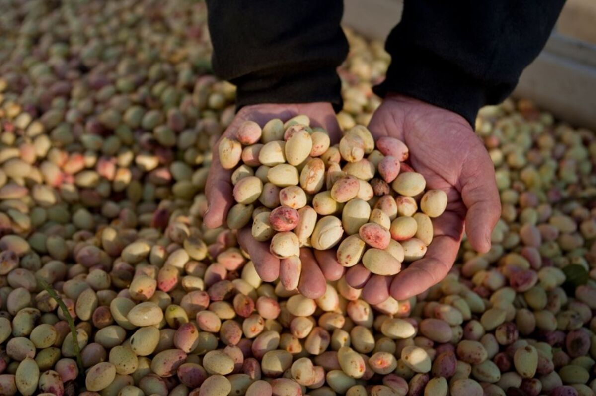 Hey Ho Pistachio! NREL Scientists Help Transform Nut Shells Into  Carbon-Negative Electricity