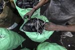 A worker seals a sack of coal at a coal wholesale market in Mumbai, India, on Thursday, May 12, 2016.
