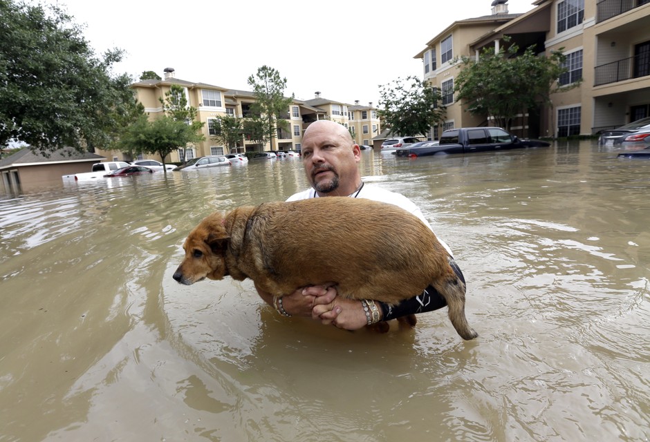 Louis Marquez carries his dog Chocolate through floodwaters after rescuing the dog from his flooded apartment Tuesday, April 19, 2016, in Houston.