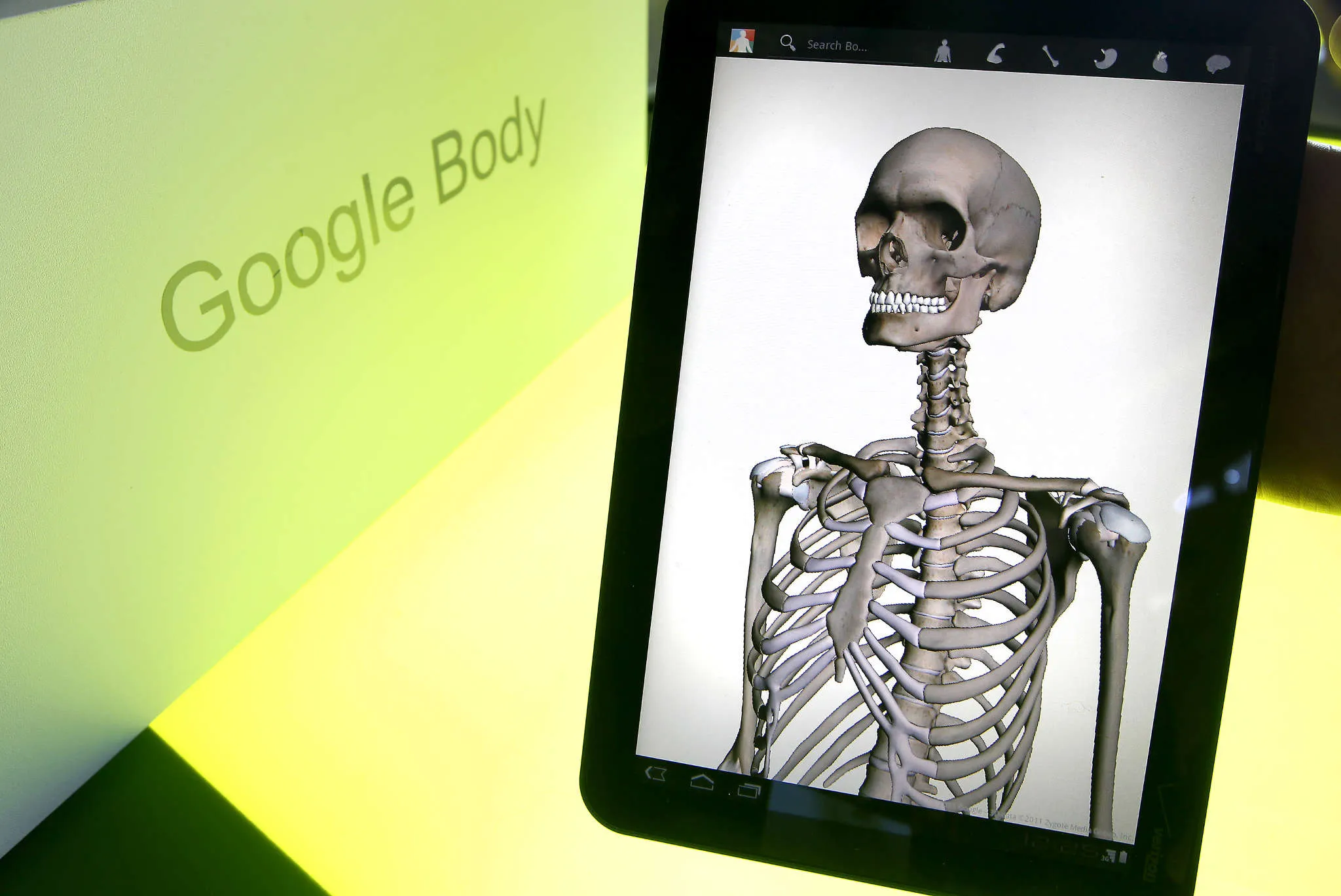 A Motorola Xoom tablet running Google's Android 3.0 Honeycomb operating system and Google Body is shown at Google headquarters in Mountain View, Calif., on Feb. 2, 2011.
