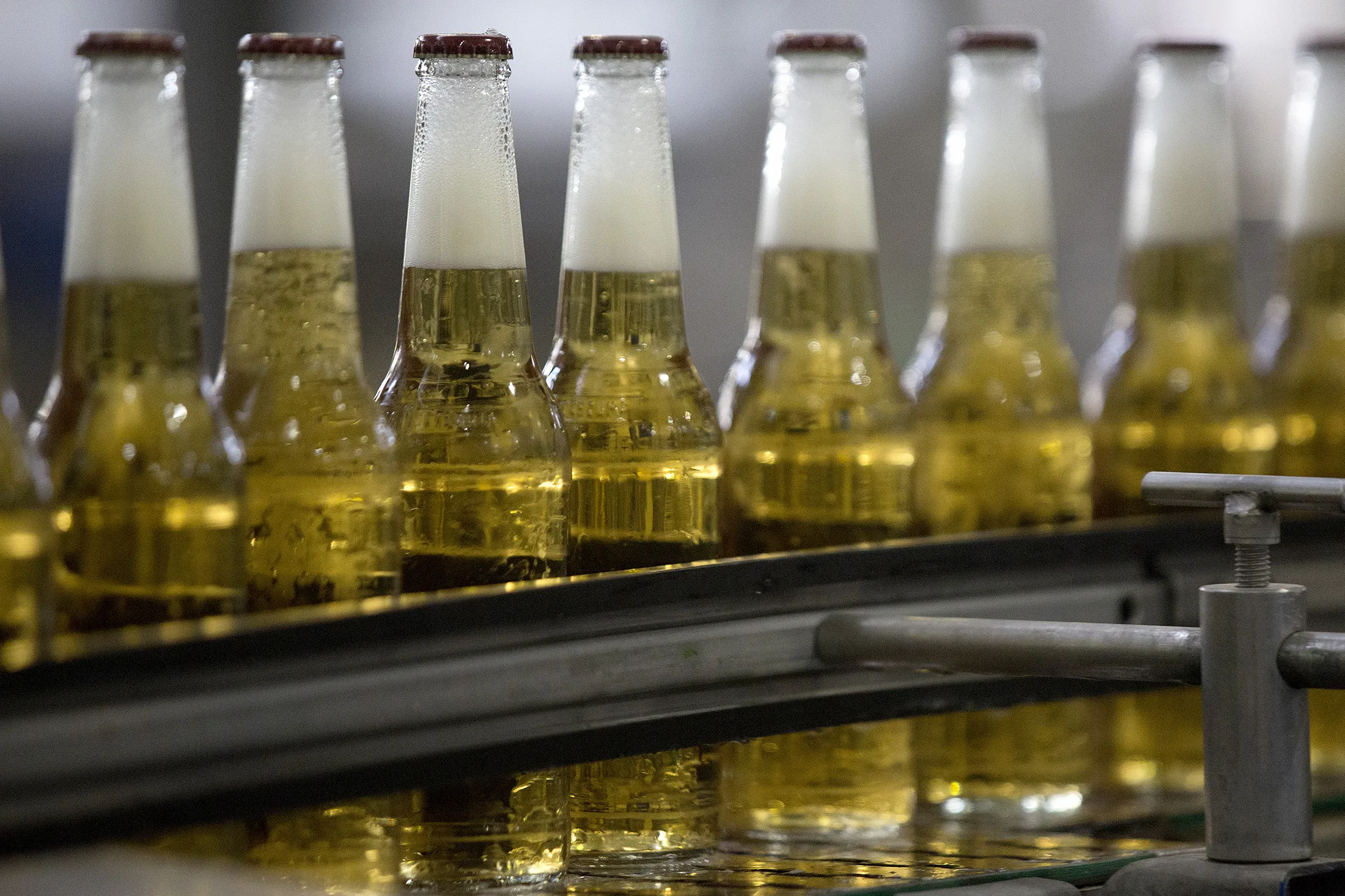 beer