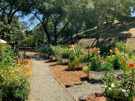 A Century-Old Silicon Valley Estate Is On Sale for $135 Million