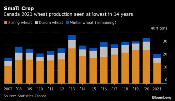 World’s Top Canola Grower Anticipates Smallest Crop in 9 Years