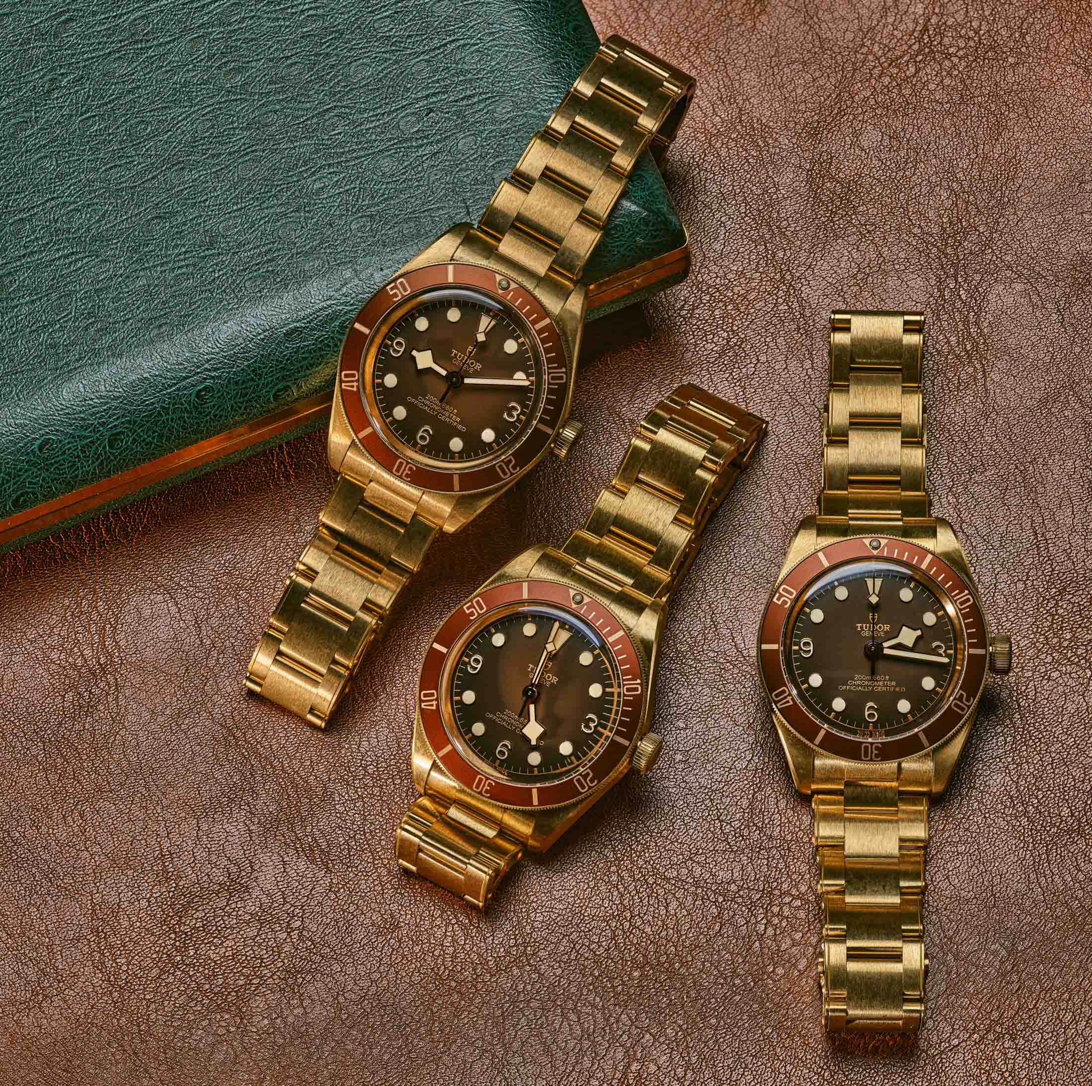 Tudor Black Bay Heritage - Aged Leather Watches From SwissLuxury