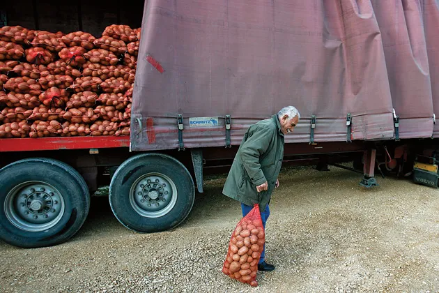 A resident of Peristeri, north of Athens, picks up his potatoes