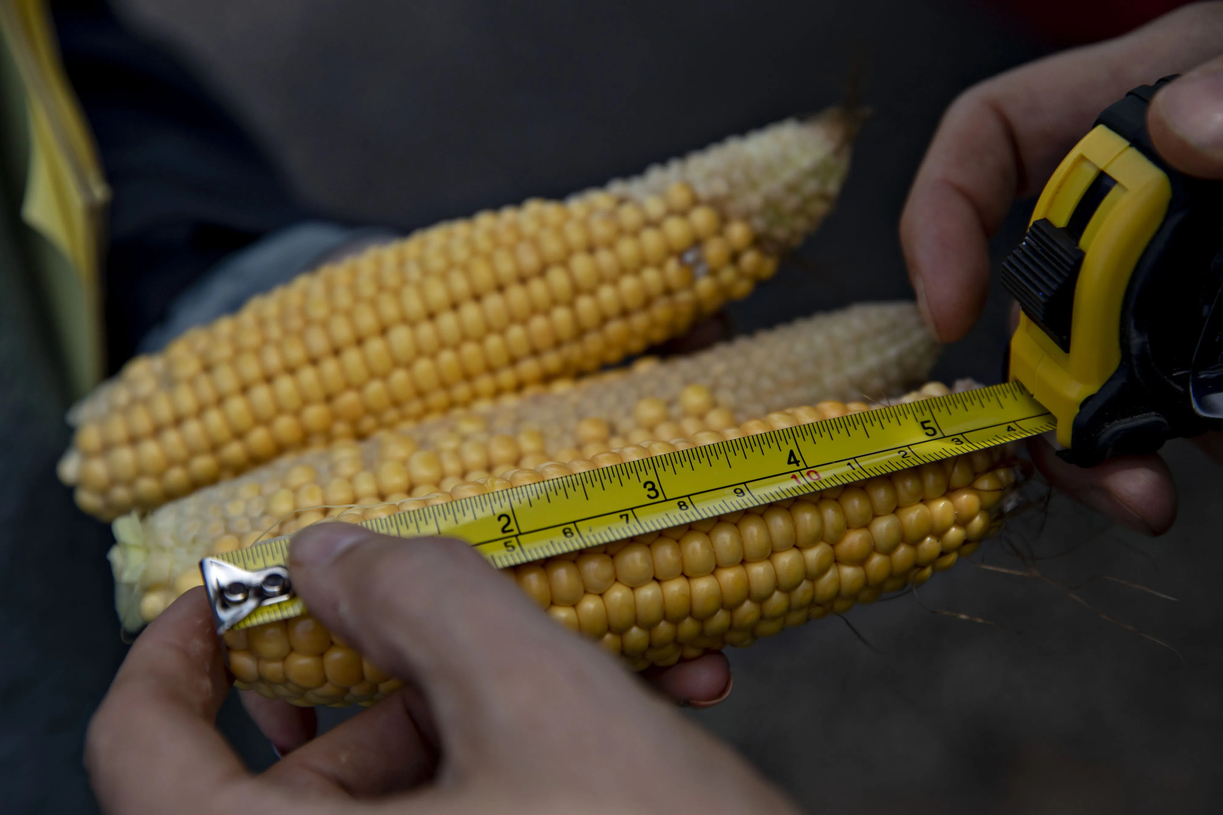 U.S. Crop Conditions Are 'Hit Or Miss' As Tour Kicks Off