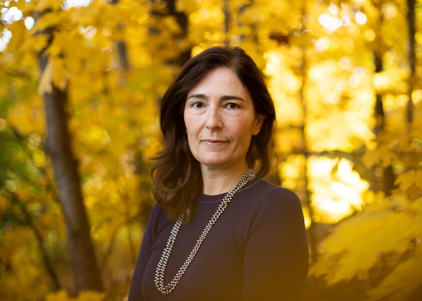 relates to Lawyer Defending Roe Bets on Precedent to Save Abortion Rights