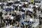 Career Fair For Japanese Students