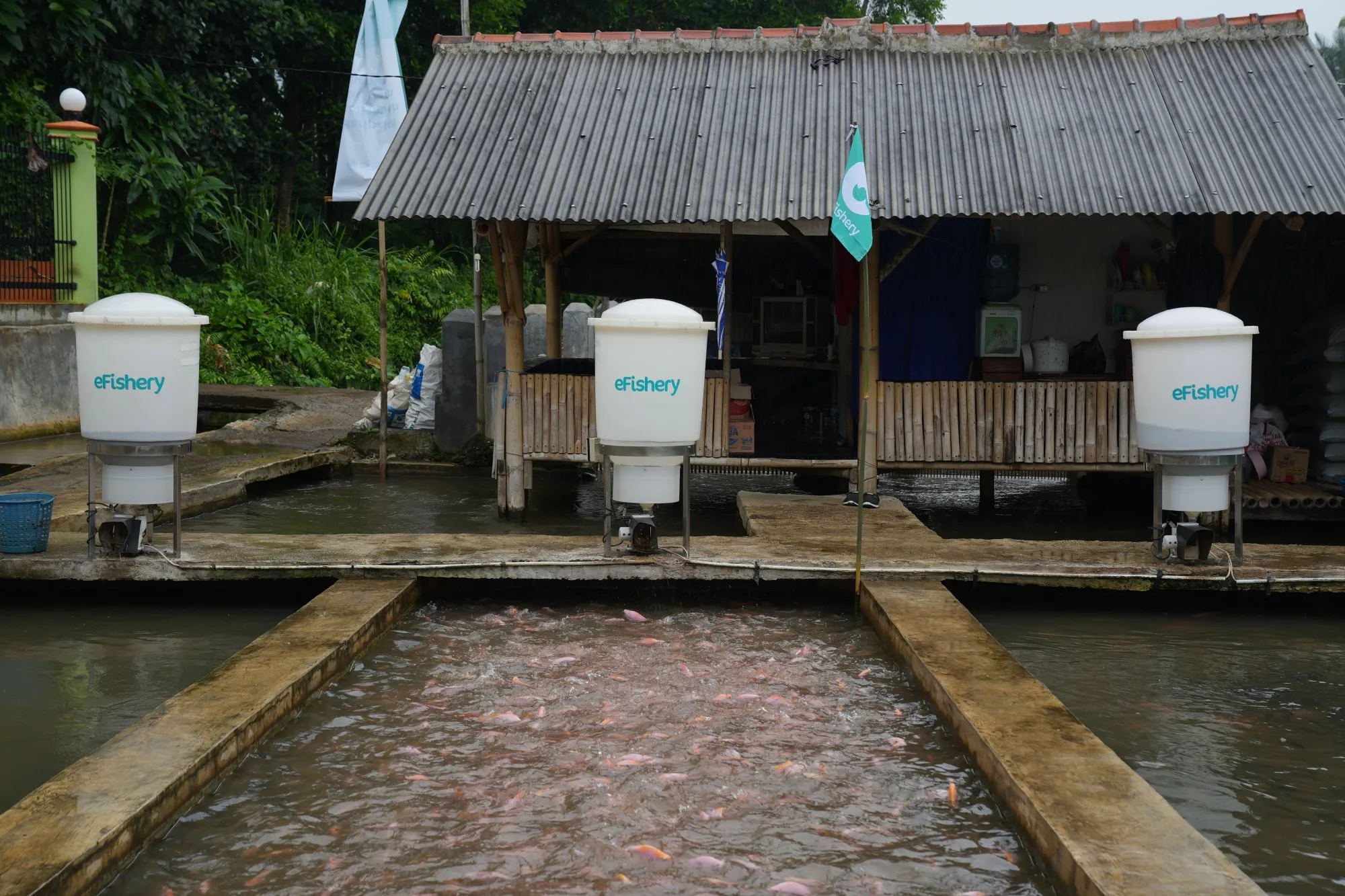 A fish pond equipped with eFishery dispensers in West Java, Indonesia. Photographer: Dimas Ardian/Bloomberg