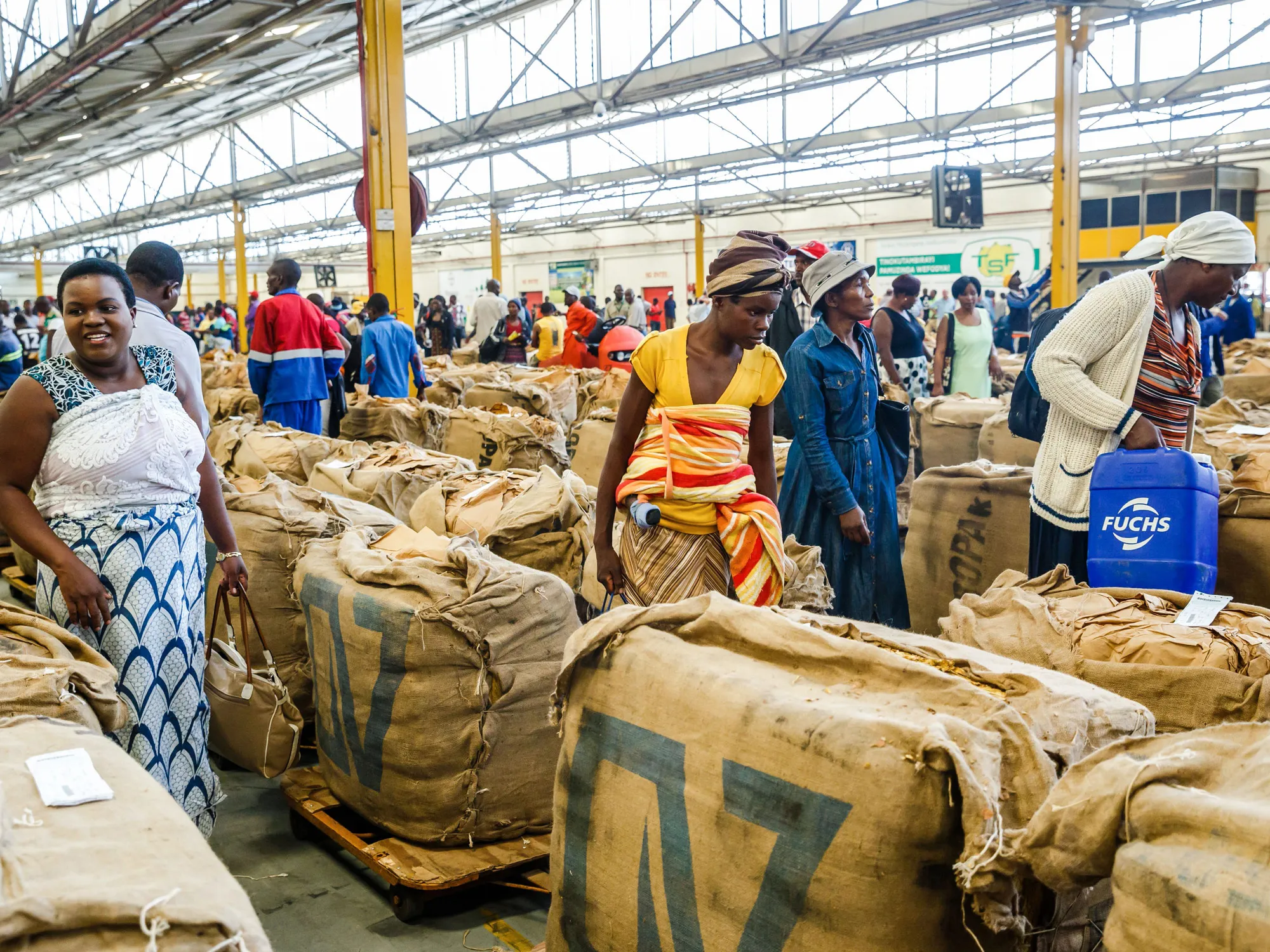 zimbabwe tobacco Zimbabwe Tobacco Marketers See Output Declining as Much as 13%
