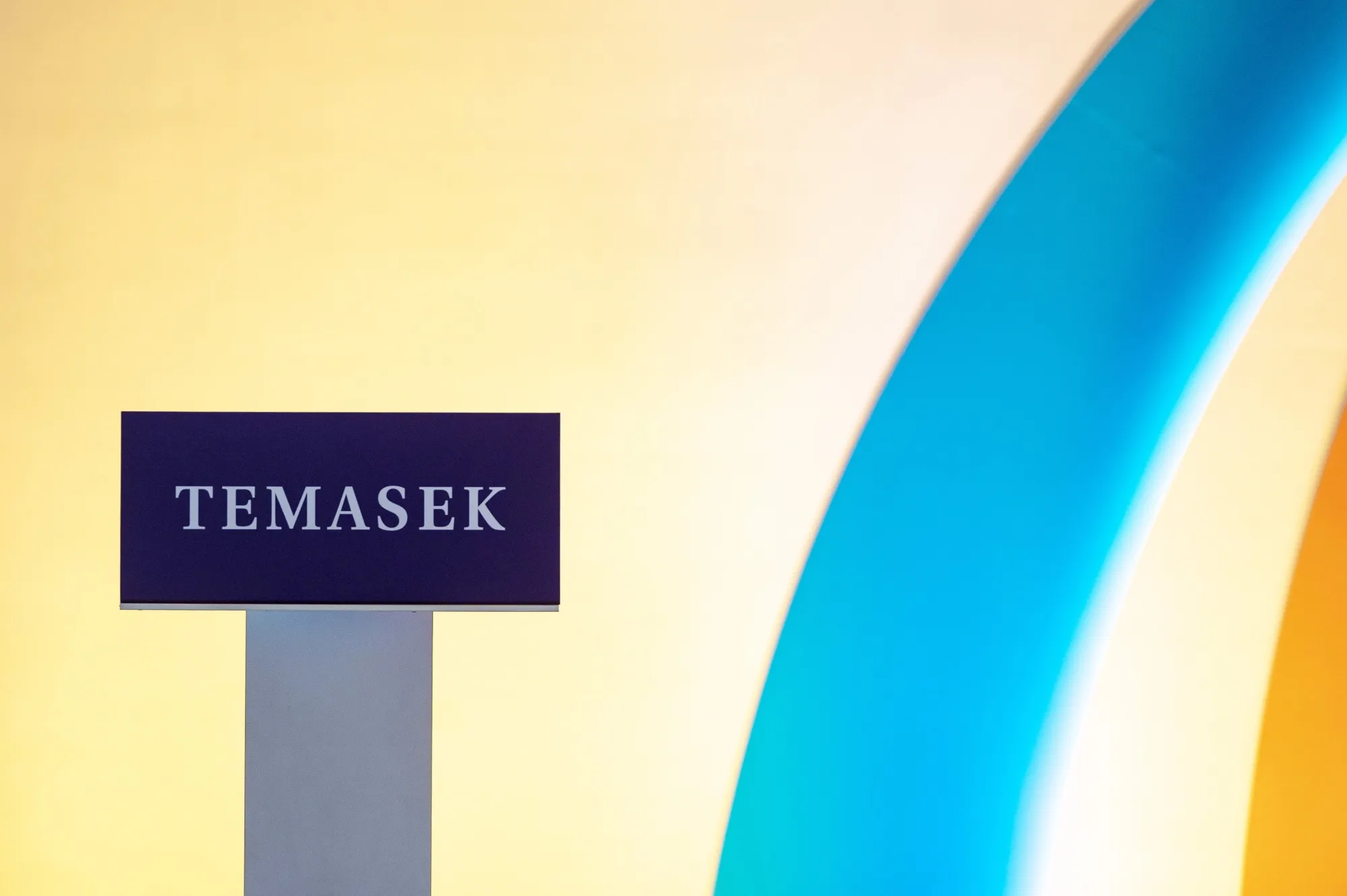 Media Conference for Launch of Temasek Review 2022