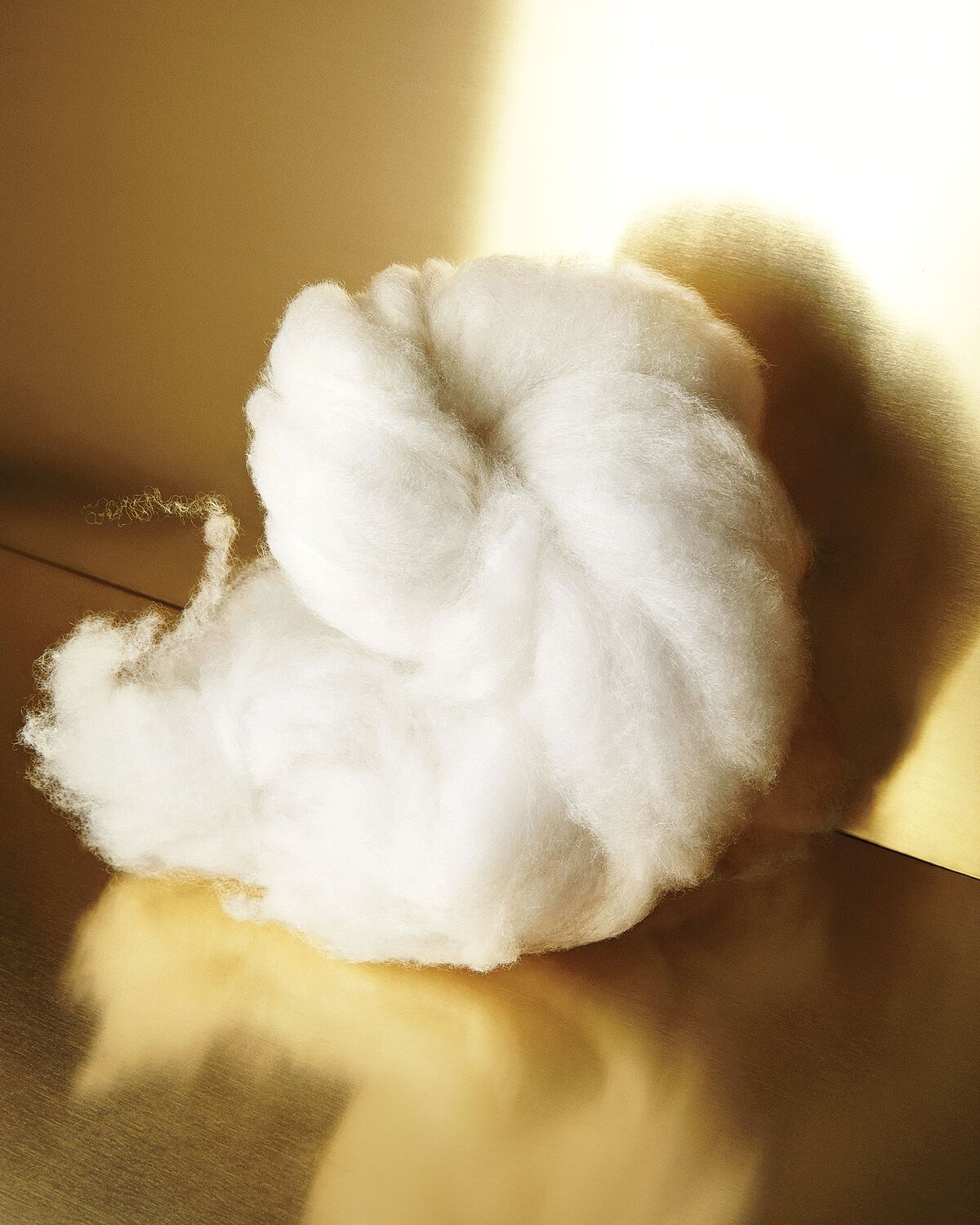 what kind of animal does cashmere come from