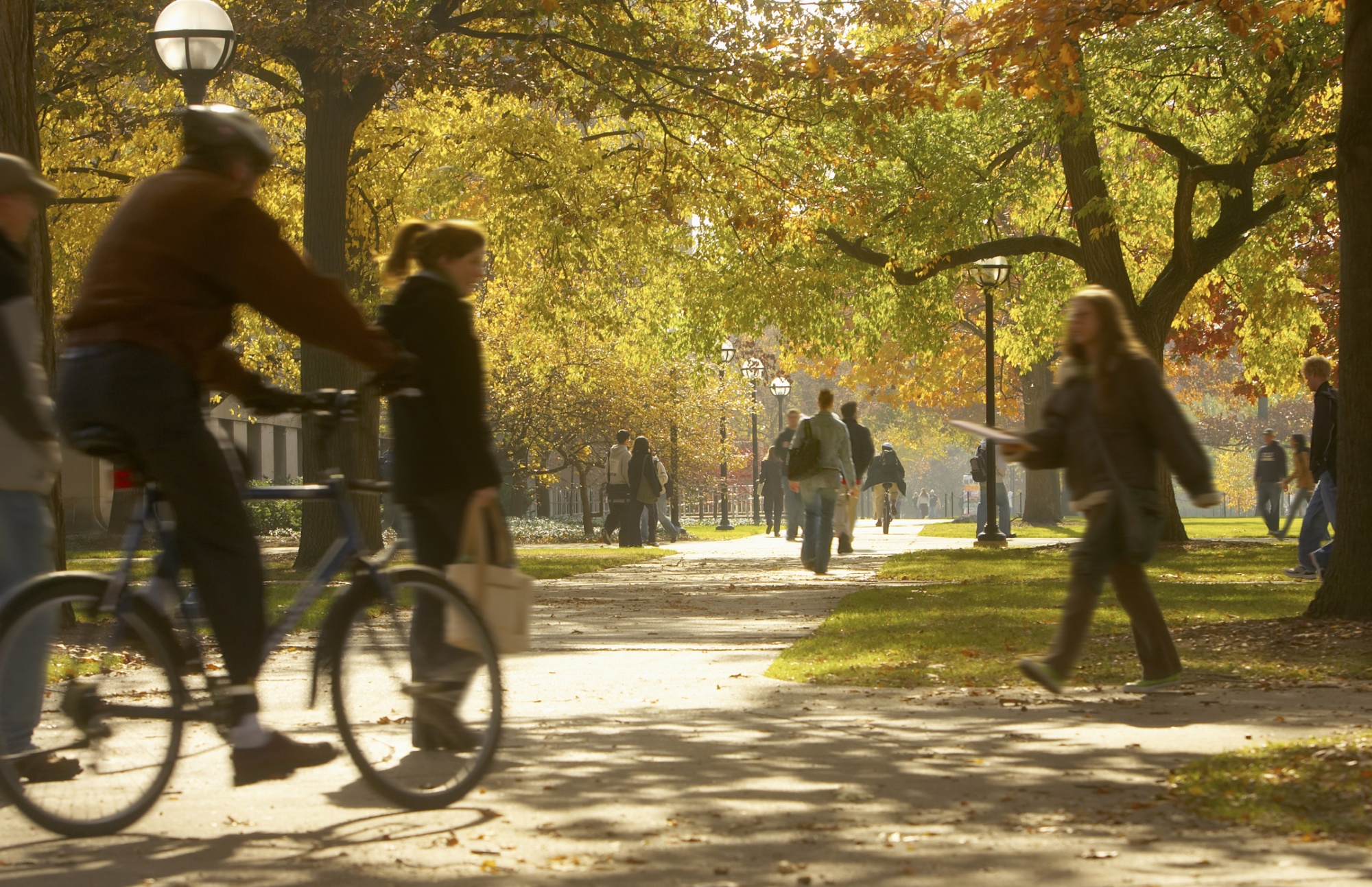 student-loans-are-supposed-to-help-students-not-colleges-bloomberg