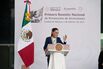 Mexico Unveils Energy-Focused Investment Plan To Juice Economy